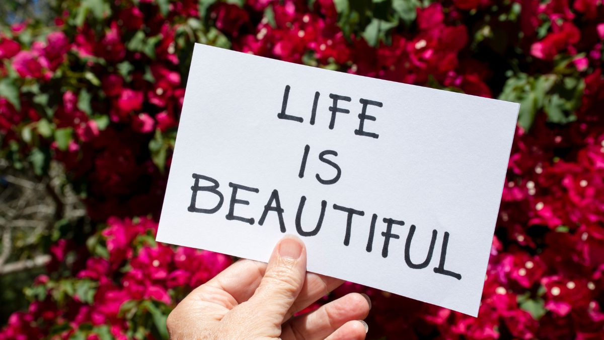 Hobo.Video-150 Cute Instagram Captions That Feel Natural-Guide for the audience