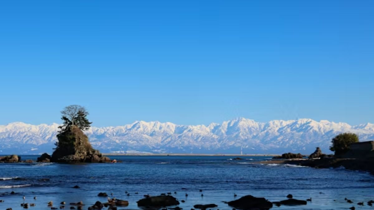 Hobo.Video- 200 Nature Instagram Captions for Outdoor Lovers