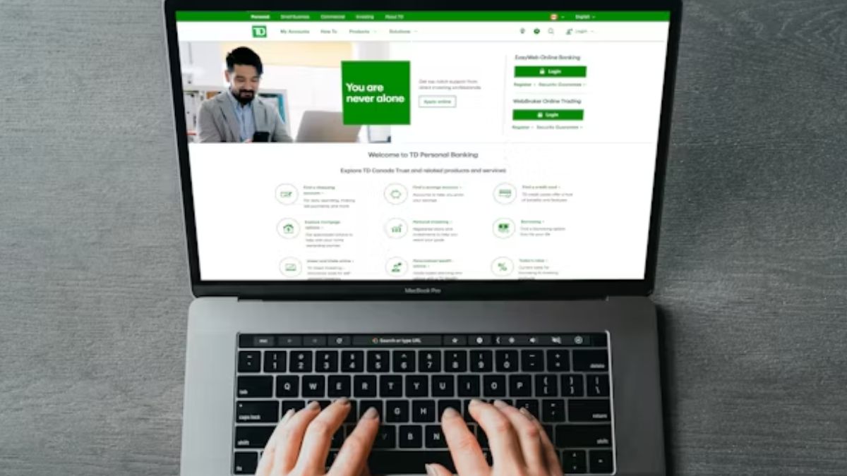 Hobo.Video- Off-page SEO techniques for backlinks, social signals, and influencer campaigns.