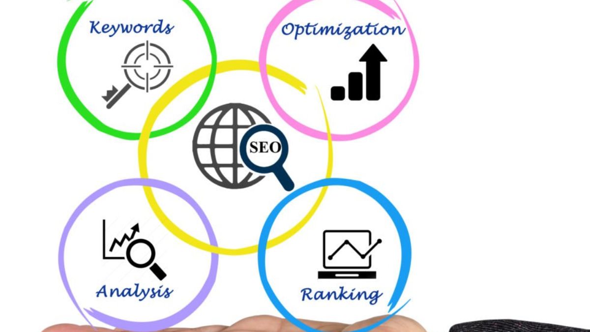 Hobo.Video- What Are the Different Types of SEO? A Complete Guide, growth tips.