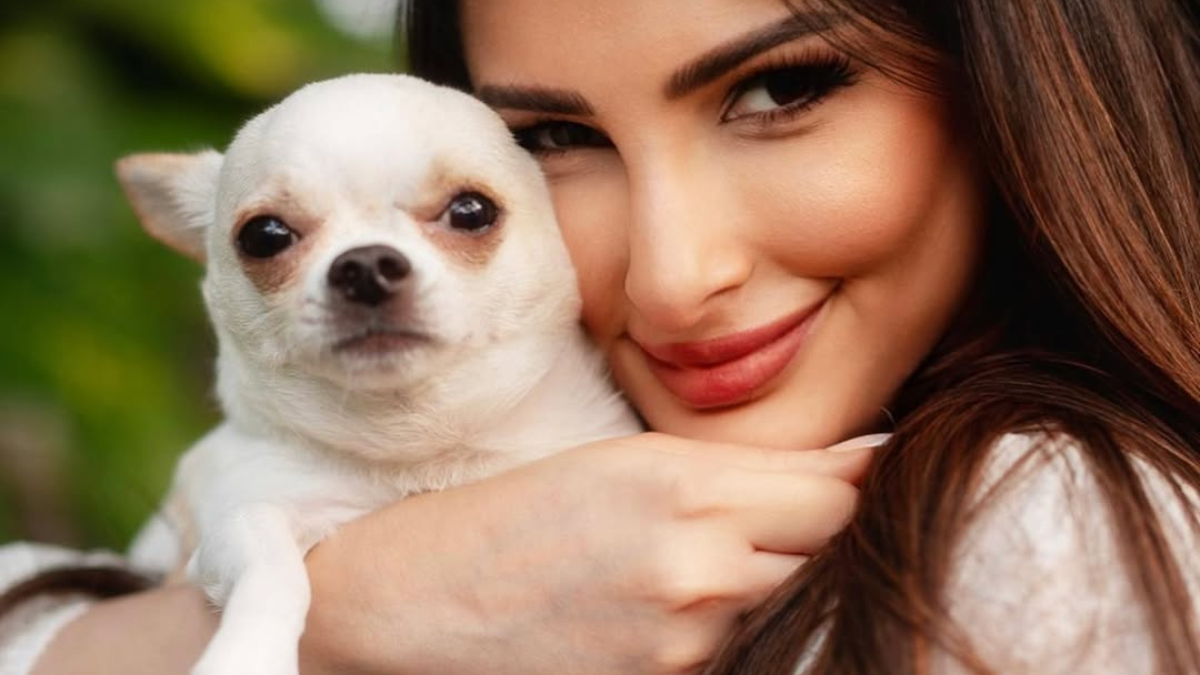 Hobo.Video - Zainab Ravdjee: Age, Wiki, Family, Career, Husband & Net Worth - Zainab and pet