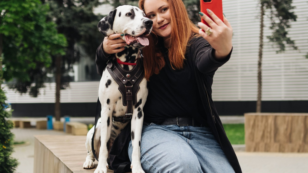 Hobo.Video - Famous Instagram Dogs You Need to Follow Right Now - famous dogs on instagram