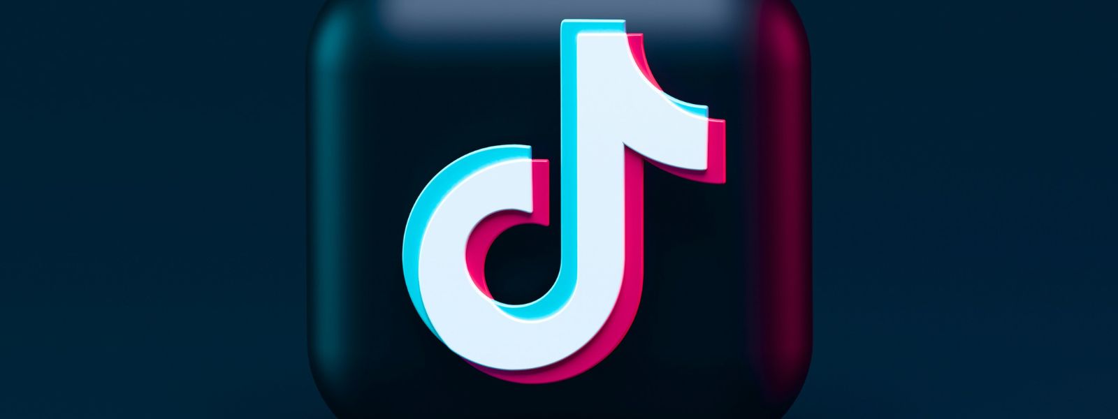 Hobo.Video Eight Hacks On How To Earn Money On TikTok