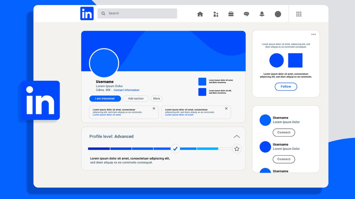 Hobo.Video - The ROI of Posting LinkedIn Carousels: Case Studies from India - Carousel ROI