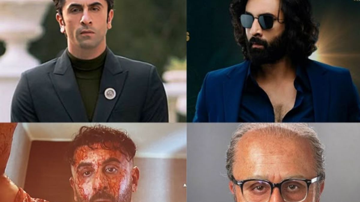 Hobo.Video- Why Ranbir Kapoor’s Animal Created Such Buzz